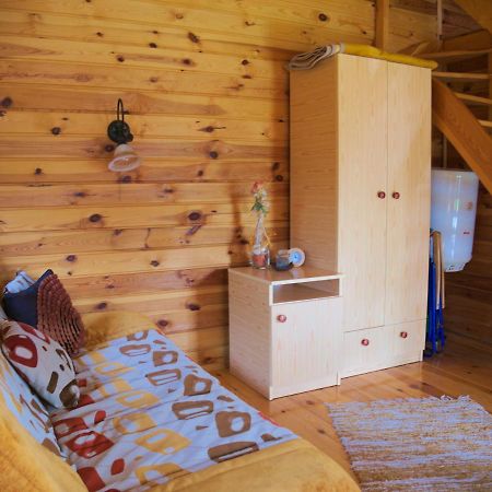 Agroturystyka Pod Jesionem2 Władysławowo Dış mekan fotoğraf